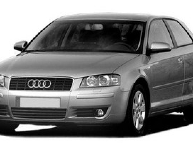 Covorase Auto Audi A3 8P (2005-2008)