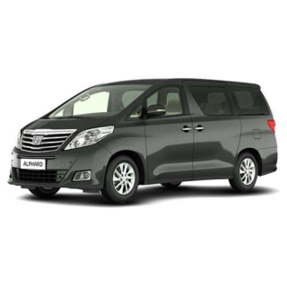 Covorase Auto Toyota Alphard (2002-2008)